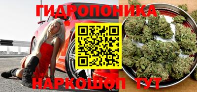 ешки Можга