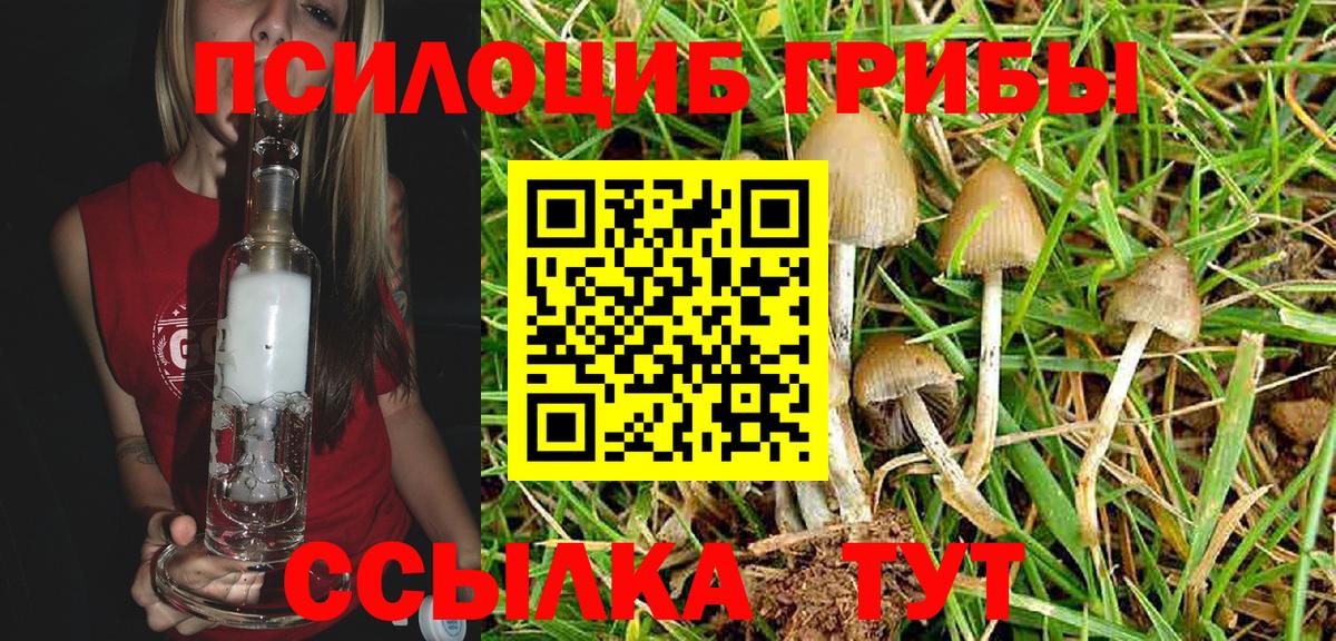 Галлюциногенные грибы MAGIC MUSHROOMS Анжеро-Судженск