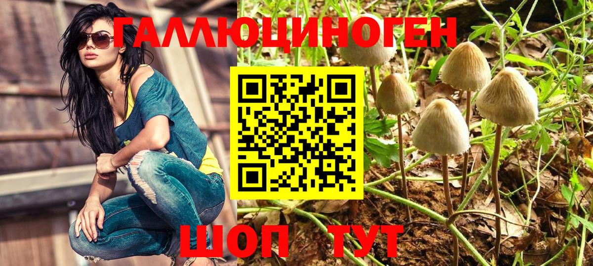 Галлюциногенные грибы Psilocybe  купить закладку  Анжеро-Судженск  Вход с VPN 